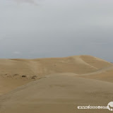 – 沙漠 – 沙漠