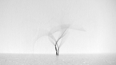 Warmenhoven & Venderbos | Designer fashion Blog | Zimoun Sound Sculptures & Installations