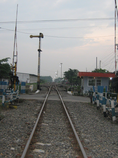 [Image: IMG_1985.JPG]