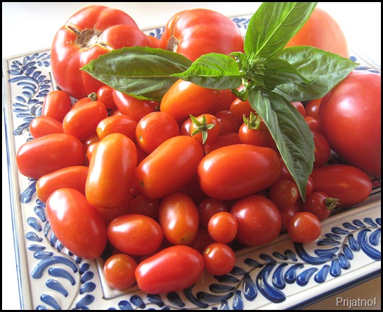 Tomatoes v1