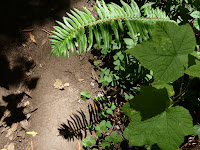 P1010149.JPG