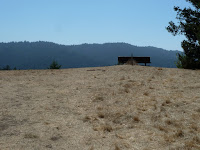 P1010235.JPG