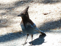P1000688.JPG