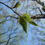 April Visit