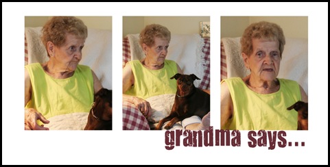 grandma storyboard