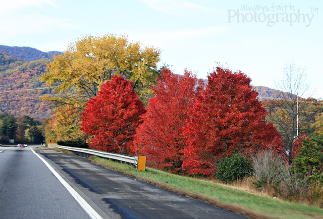 [IMG_4636eweb[10].jpg]