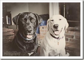 IMG_7909e2web