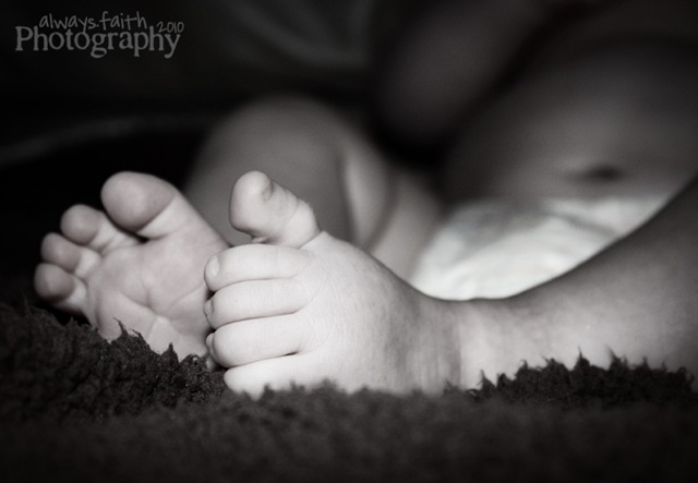 [IMG_7692eweb[6].jpg]