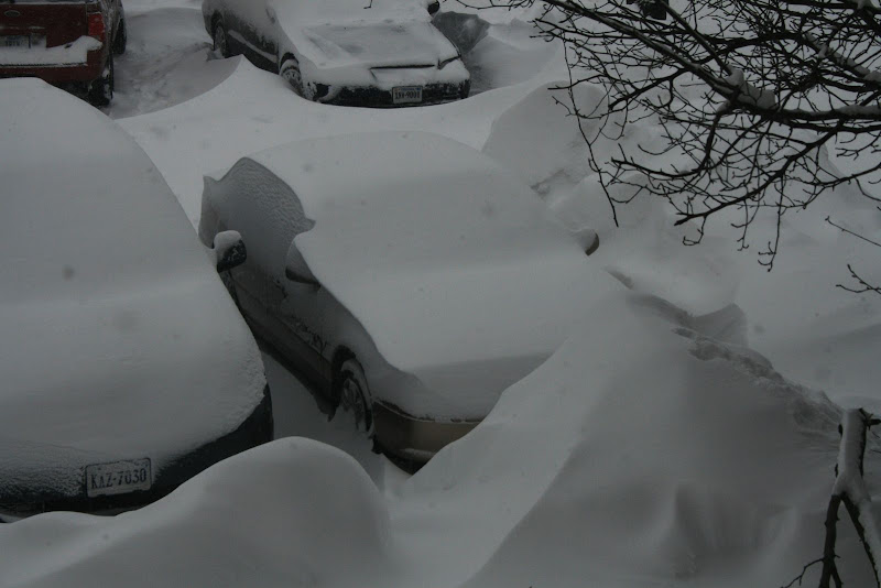 Snow Blanket