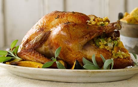 [perfect turkey[4].jpg]