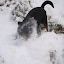 Snø er gøy!!
