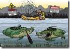 crocodile
