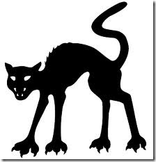 pouncing cat