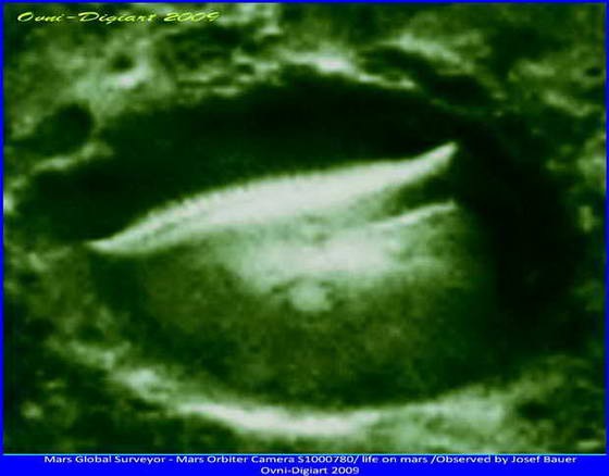 [vidaencrater_4_resize3.jpg]