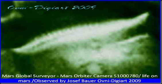 vida en crater_5_resize