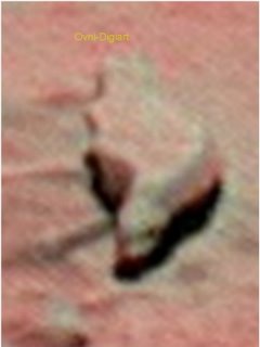 [largarto grande[2].jpg]