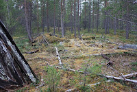 Päällystön alue Photo