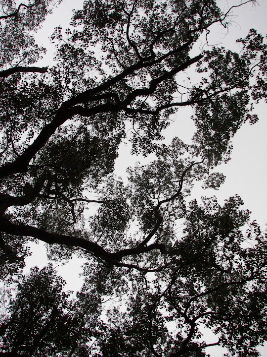 IMAGE: http://lh5.ggpht.com/_0R4kBESWztI/ScdE5aOM3VI/AAAAAAAAAUw/XCQBxRK93T4/s720/%E5%A9%BA%E6%BA%90%E4%B9%8B%E6%98%A5%20202.jpg