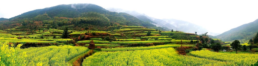 IMAGE: http://lh5.ggpht.com/_0R4kBESWztI/Scdg20DyrhI/AAAAAAAAAXk/VWMBsBGQXlU/s1024/%E5%BA%86%E6%BA%90%E6%B8%85%E6%99%A8.JPG