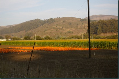 IMGP0728