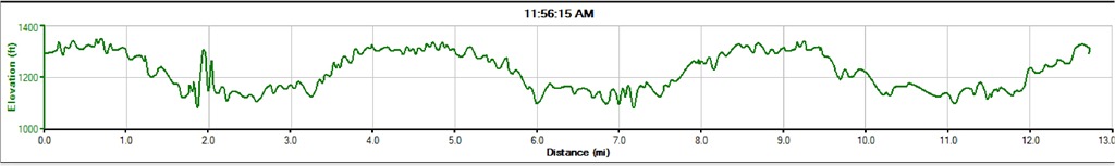 [WTH Half Marathon Elevation[3].jpg]