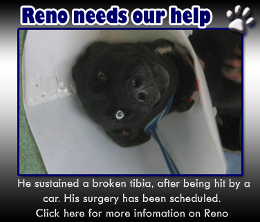 Reno