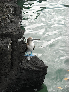 DSCN0219.JPG