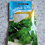 Lemon coriander