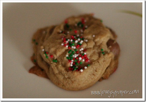 IMG_5655 IMG_5655