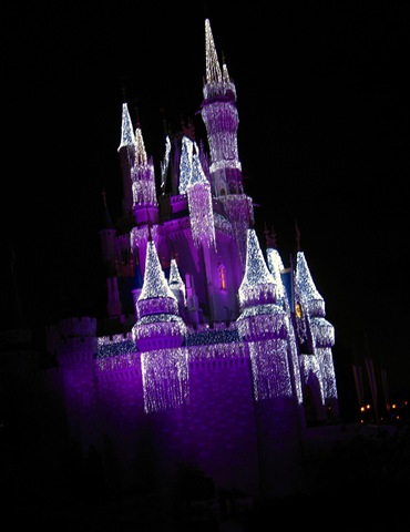 [2007-11-23 001 2007-11-23 147[7].jpg]