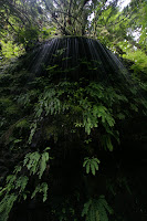 IMG_9254.JPG