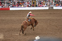 IMG_9363.JPG