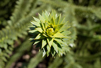 portland-gardens-8.jpg