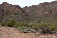IMG_5807.JPG Photo