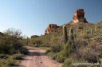 IMG_7172.JPG Photo