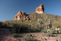 IMG_7174.JPG Photo