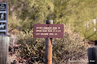 Trail sign Photo