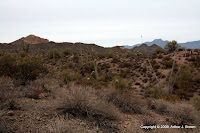 IMG_4971.JPG Photo