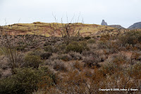 IMG_4974.JPG Photo