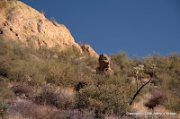 IMG_5118.JPG Photo