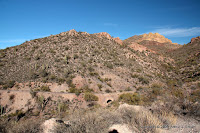 IMG_5258.JPG Photo