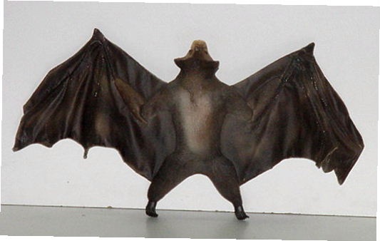 [MURCIELAGO[3].jpg]