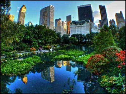 [centralpark3.jpg]