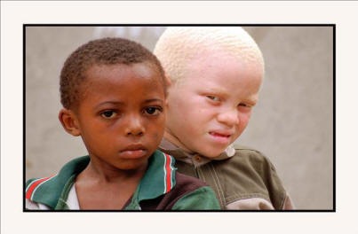 [NEGROALBINObajacalidad.jpg_x_6003.jpg]