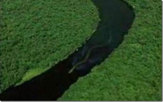 Has_the_Loch_Ness_Monster_emigrated_to_Borneo Has_the_Loch_Ness_Monster_emigrated_to_Borneo