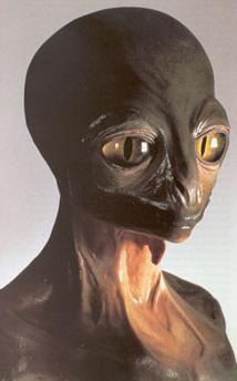 [reptiliano3.jpg]