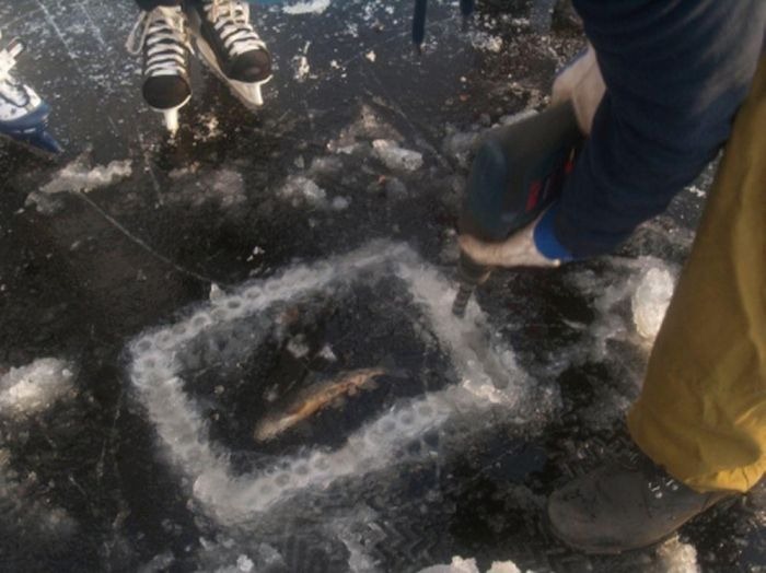 [ice_fishing_014.jpg]