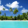 Ver álbum