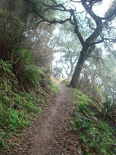 [DSC05067[2].jpg]