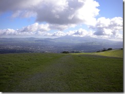 Picture1 055